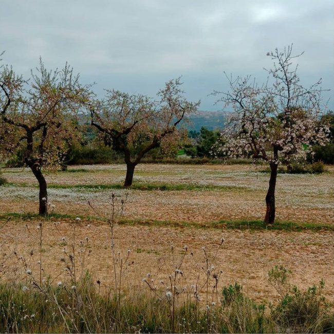 Imagen entrada Entorno. Ecoarquitectura. Terracota arquitectura sostenible y Bioconstrucción
